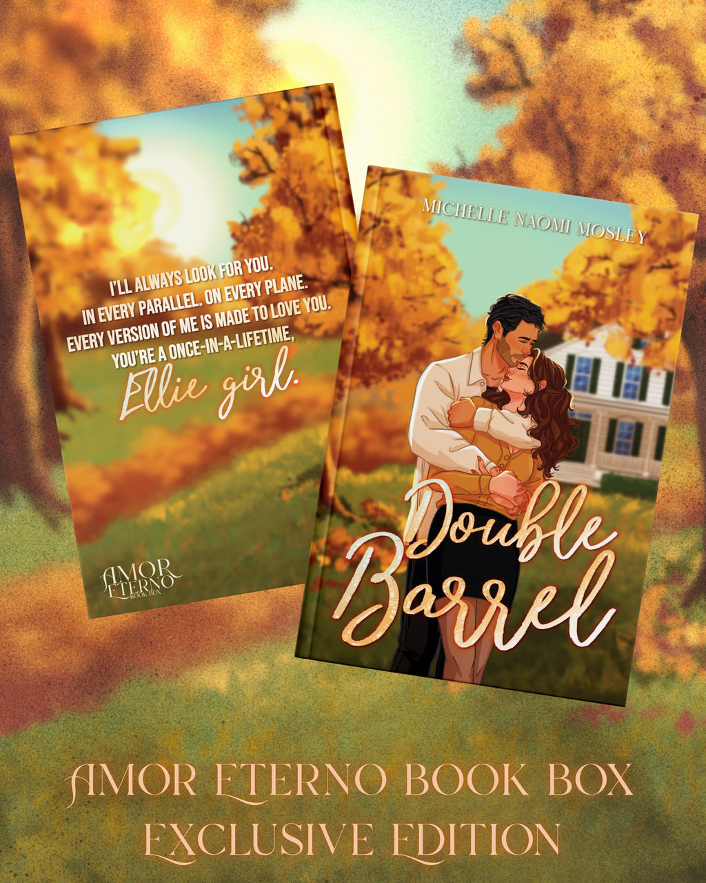 November Box featuring Double Barrel by Michelle Naomi Mosley